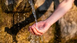 Най-лековитият извор у нас възкръсва! Позлатява наш град