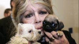 Тя искаше да умре с кучетата си, но последното ѝ желание не беше изпълнено: Семейството потъпка завещанието на Бриджит Бардо