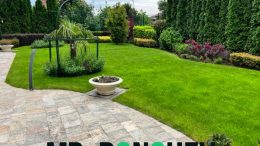 Озеленяване на двор и професионална поддръжка – инвестиция в комфорта и красотата