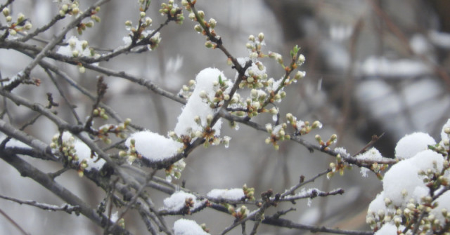 Зимата се завръща - ето от кога започва застудяването!