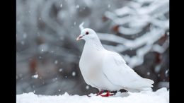 Никога НЕ правете това в първите 9 дни на март ако искате късмет и пари през цялата година