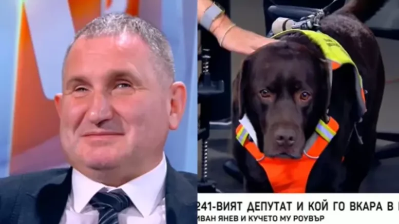 Кучето звезда Роувър – 241-вият „депутат“ в парламента