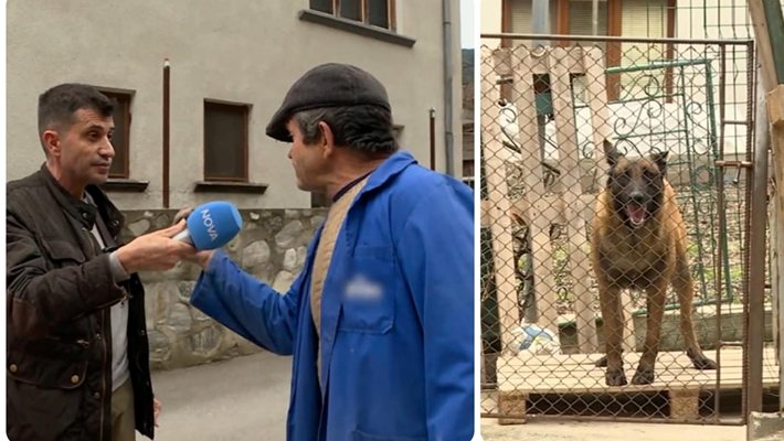 Комшийско куче изяжда малкото чихуахуа на Жоро Игнатов