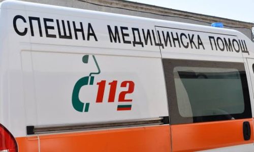 Ирена Вълчева