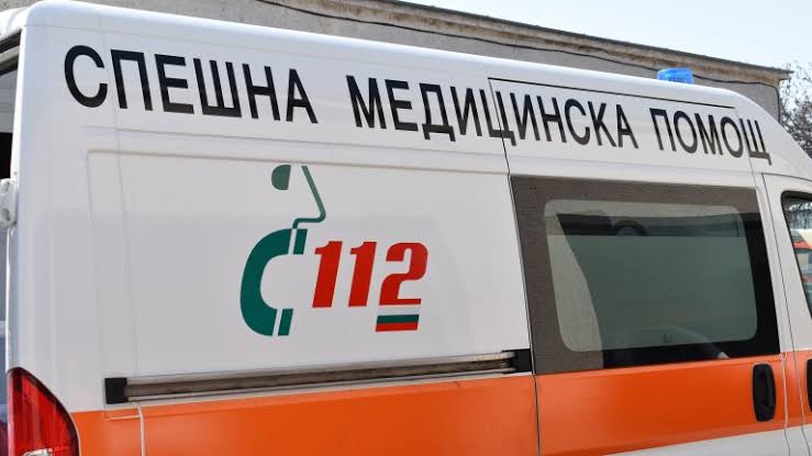 Ирена Вълчева